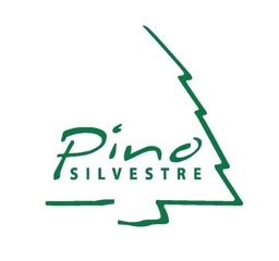 pino silvestre website